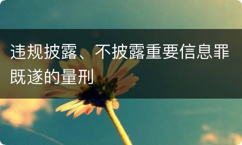 违规披露、不披露重要信息罪既遂的量刑