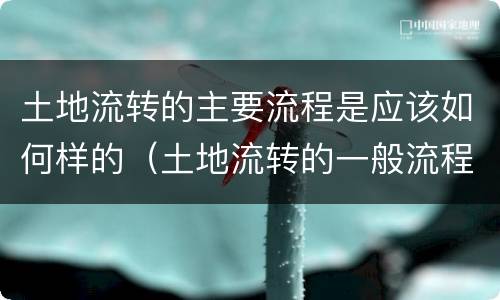 土地流转的主要流程是应该如何样的（土地流转的一般流程）