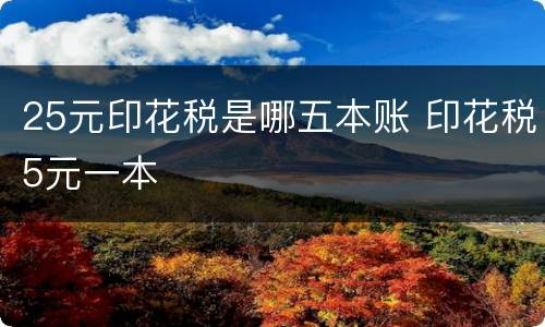 25元印花税是哪五本账 印花税5元一本
