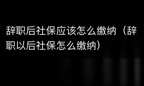 辞职后社保应该怎么缴纳（辞职以后社保怎么缴纳）