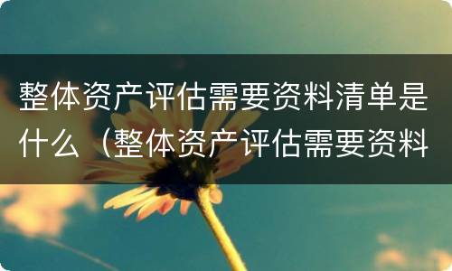 整体资产评估需要资料清单是什么（整体资产评估需要资料清单是什么内容）