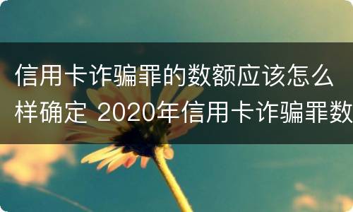 信用卡诈骗罪的数额应该怎么样确定 2020年信用卡诈骗罪数额标准