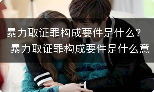 暴力取证罪构成要件是什么？ 暴力取证罪构成要件是什么意思