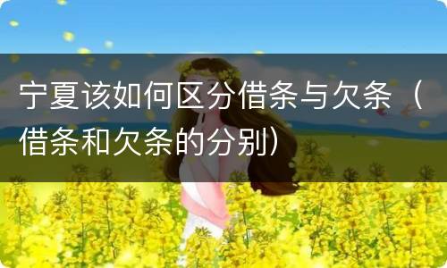 宁夏该如何区分借条与欠条（借条和欠条的分别）