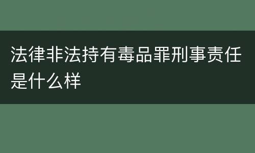 法律非法持有毒品罪刑事责任是什么样