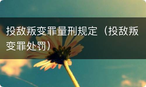 投敌叛变罪量刑规定（投敌叛变罪处罚）