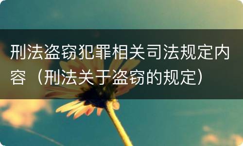 刑法盗窃犯罪相关司法规定内容（刑法关于盗窃的规定）