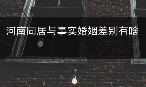 河南同居与事实婚姻差别有啥