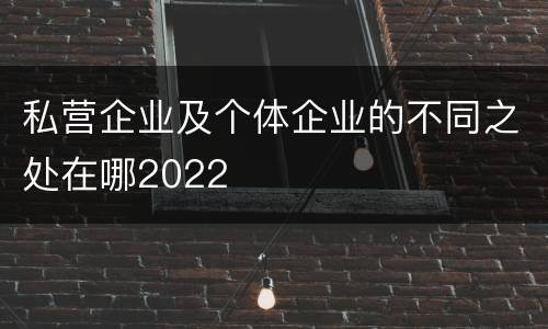 私营企业及个体企业的不同之处在哪2022