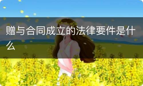 赠与合同成立的法律要件是什么