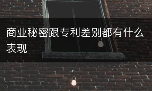 商业秘密跟专利差别都有什么表现