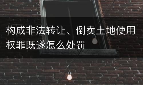 构成非法转让、倒卖土地使用权罪既遂怎么处罚