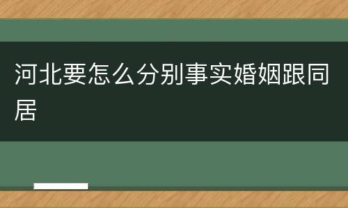 河北要怎么分别事实婚姻跟同居