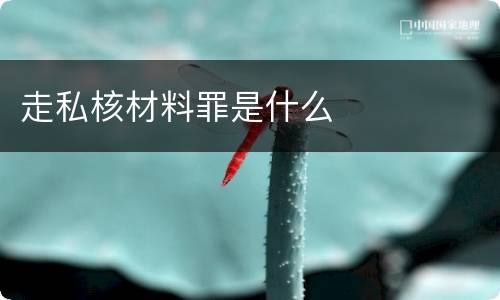 走私核材料罪是什么