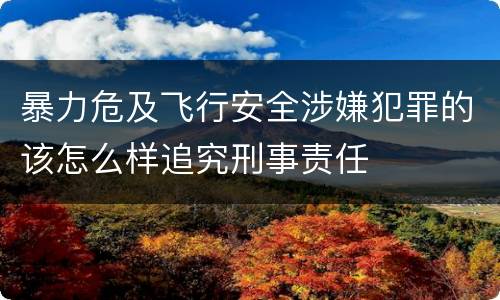 暴力危及飞行安全涉嫌犯罪的该怎么样追究刑事责任