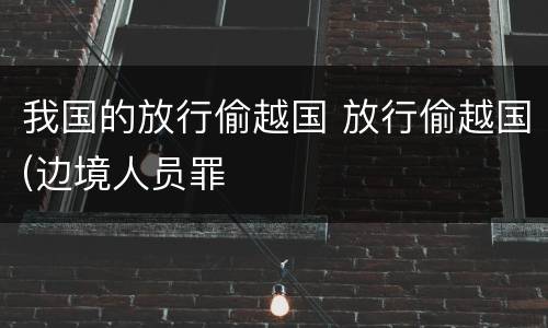 我国的放行偷越国 放行偷越国(边境人员罪