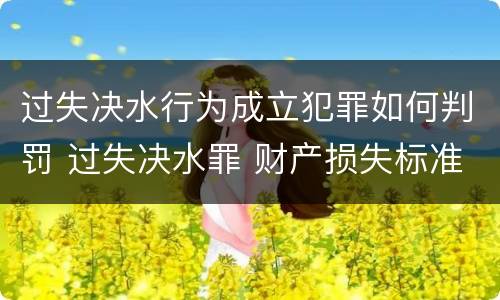 过失决水行为成立犯罪如何判罚 过失决水罪 财产损失标准