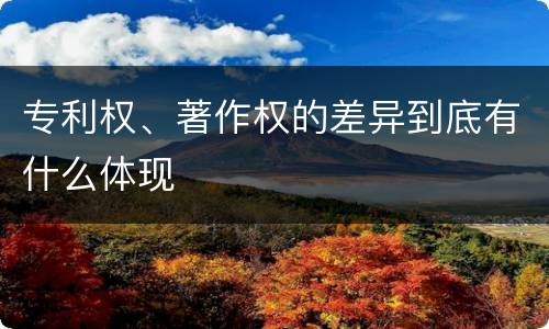 专利权、著作权的差异到底有什么体现