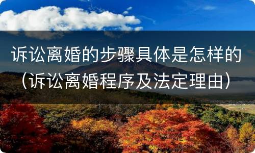 诉讼离婚的步骤具体是怎样的（诉讼离婚程序及法定理由）