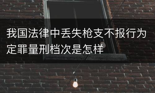我国法律中丢失枪支不报行为定罪量刑档次是怎样
