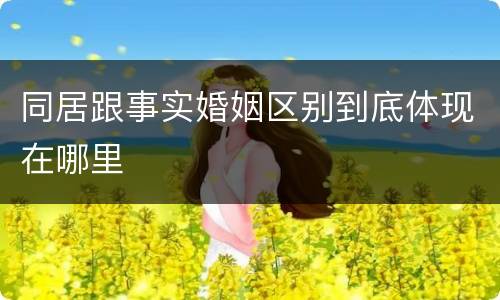 同居跟事实婚姻区别到底体现在哪里