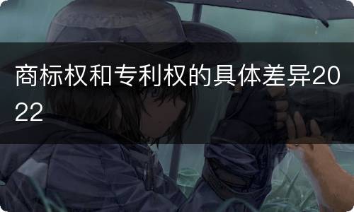 商标权和专利权的具体差异2022