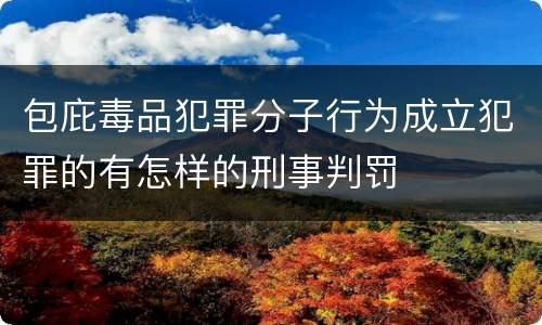 包庇毒品犯罪分子行为成立犯罪的有怎样的刑事判罚