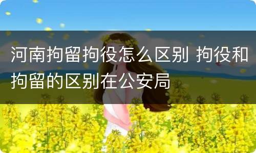 河南拘留拘役怎么区别 拘役和拘留的区别在公安局