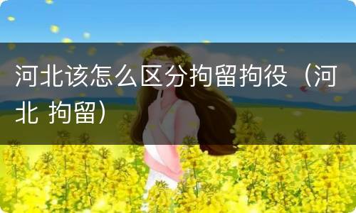 河北该怎么区分拘留拘役（河北 拘留）