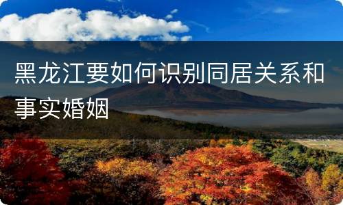 黑龙江要如何识别同居关系和事实婚姻
