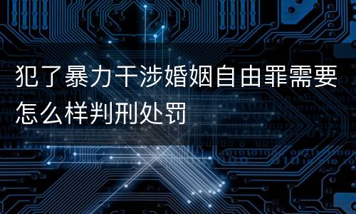 犯了暴力干涉婚姻自由罪需要怎么样判刑处罚