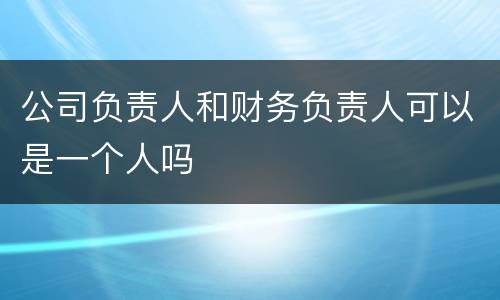 公司负责人和财务负责人可以是一个人吗