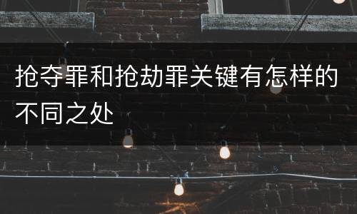 抢夺罪和抢劫罪关键有怎样的不同之处