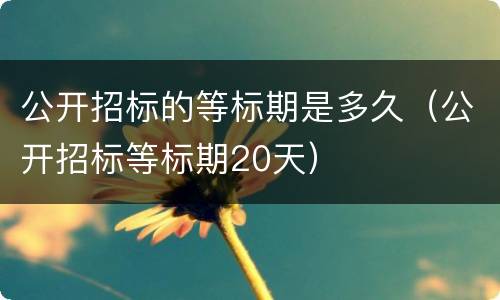 公开招标的等标期是多久（公开招标等标期20天）