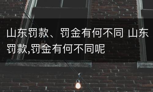 山东罚款、罚金有何不同 山东罚款,罚金有何不同呢