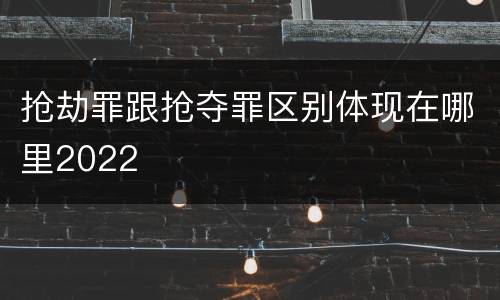 抢劫罪跟抢夺罪区别体现在哪里2022