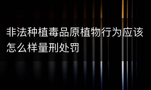非法种植毒品原植物行为应该怎么样量刑处罚