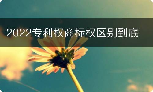 2022专利权商标权区别到底