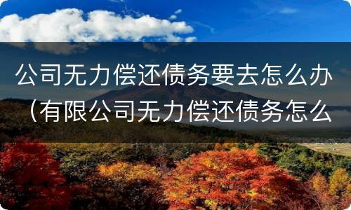 公司无力偿还债务要去怎么办（有限公司无力偿还债务怎么办）