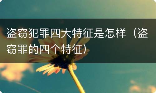 盗窃犯罪四大特征是怎样（盗窃罪的四个特征）