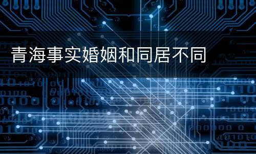青海事实婚姻和同居不同