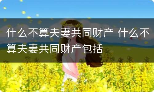 什么不算夫妻共同财产 什么不算夫妻共同财产包括