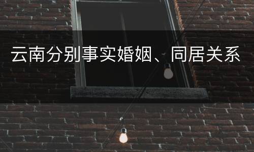 云南分别事实婚姻、同居关系