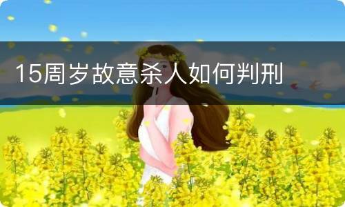 15周岁故意杀人如何判刑