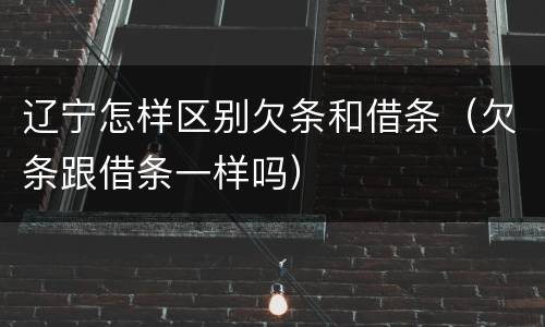 辽宁怎样区别欠条和借条（欠条跟借条一样吗）
