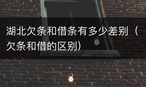 湖北欠条和借条有多少差别（欠条和借的区别）