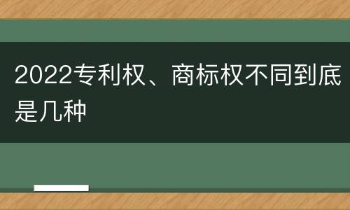 2022专利权、商标权不同到底是几种