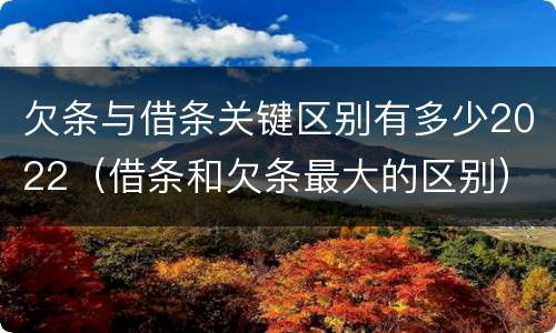 欠条与借条关键区别有多少2022（借条和欠条最大的区别）