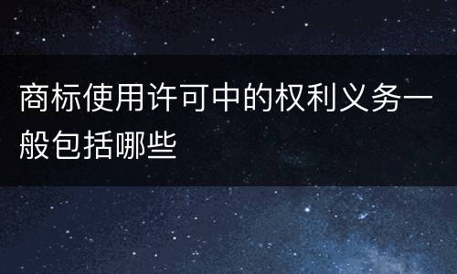 商标使用许可中的权利义务一般包括哪些