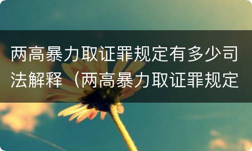 两高暴力取证罪规定有多少司法解释（两高暴力取证罪规定有多少司法解释）